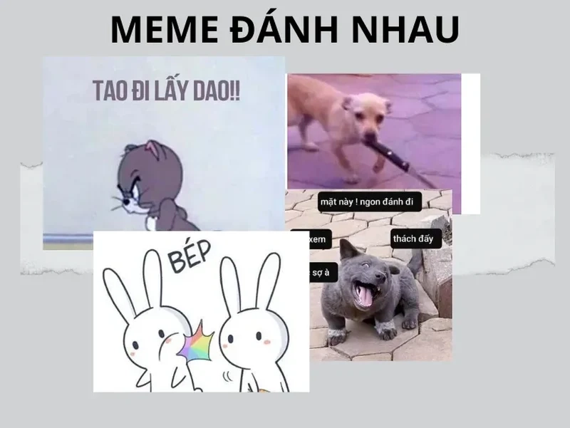 Meme đánh thức siêu vui nhộn, giúp bạn tỉnh táo và cười thả ga.