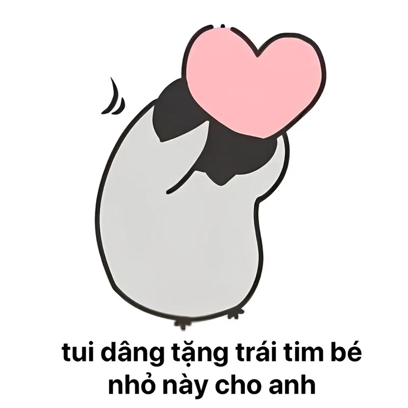 Quà tặng cuộc sống meme là món quà tràn đầy ý nghĩa.