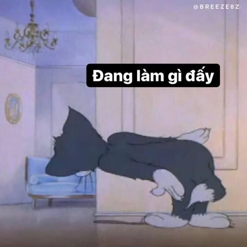 Meme em bé cười luôn mang đến sự vui vẻ và tươi mới cho mọi người.