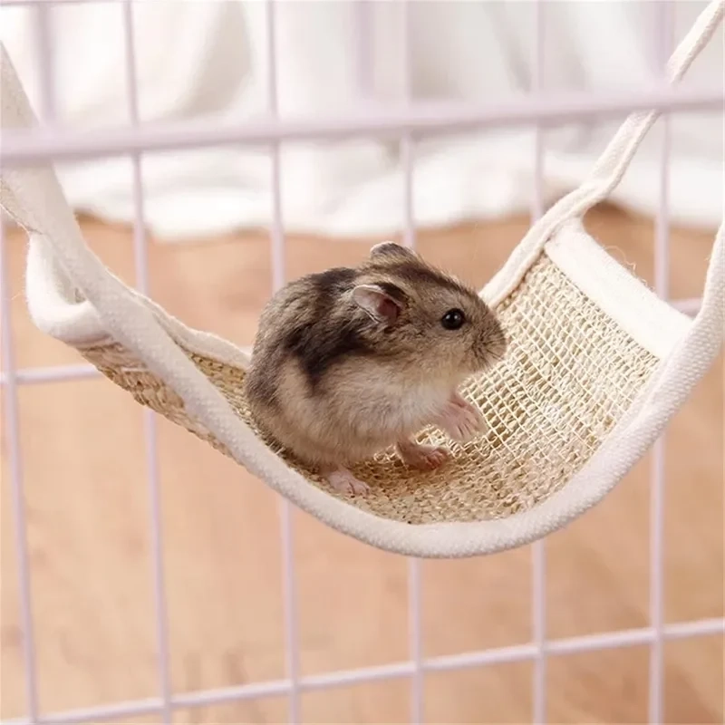 meme hình ảnh chuột hamster hài hước mang lại sự vui nhộn và bất ngờ.