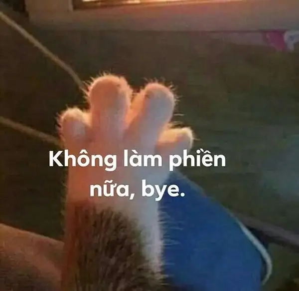 Meme goodbye là lời chia tay đáng yêu, chắc chắn bạn sẽ thích.