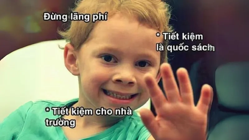 Avatar meme mèo bựa độc lạ, khiến ai cũng phải bật cười.