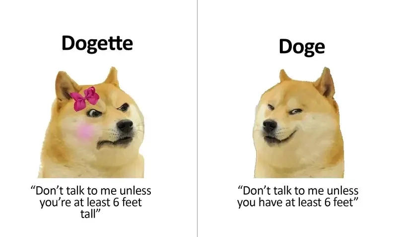 Cheems doge meme là sự kết hợp hài hước giữa sự ngốc nghếch và dễ thương.