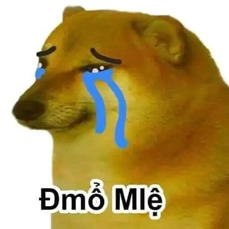 Cheems doge meme png cực kỳ đáng yêu, phù hợp làm hình nền hoặc meme.