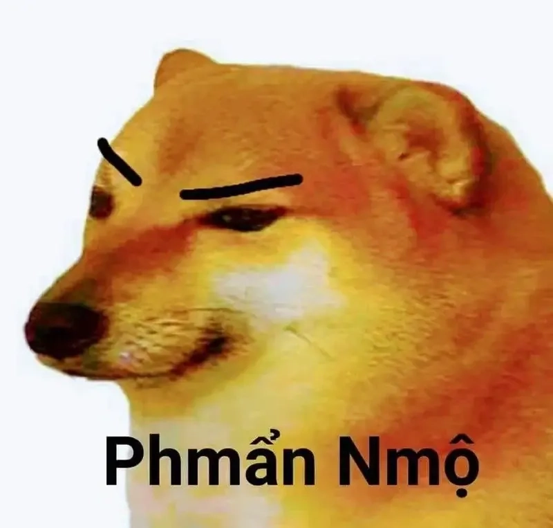 Ảnh meme dog khiến bạn không thể không mỉm cười với sự dễ thương của chó.