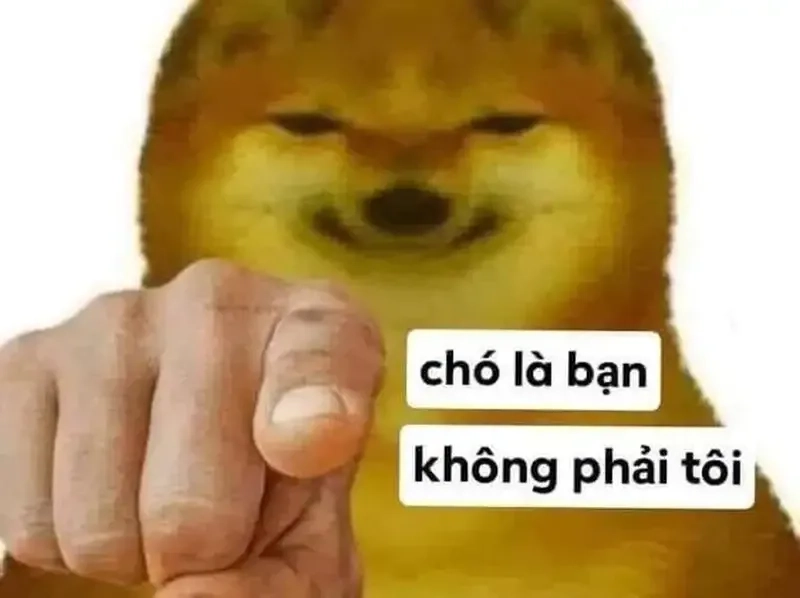 Dog power meme sea mang đến sức mạnh và sự vui nhộn trong mỗi bức ảnh.