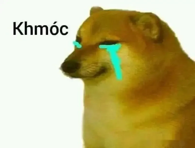 Meme dogs là bộ sưu tập những chú chó trong những tình huống hài hước.