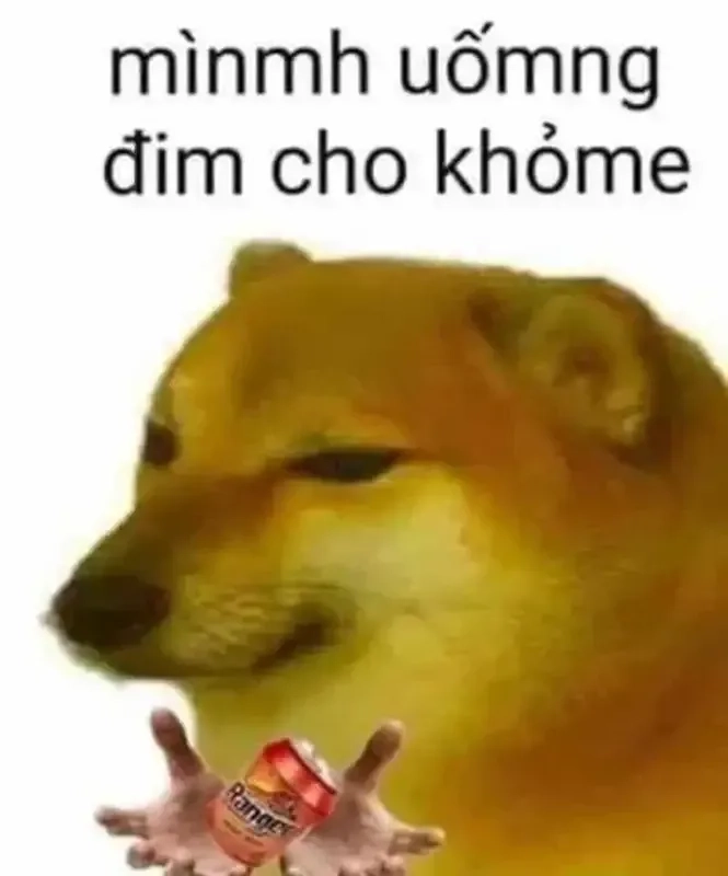 Dog side eye meme với ánh mắt 