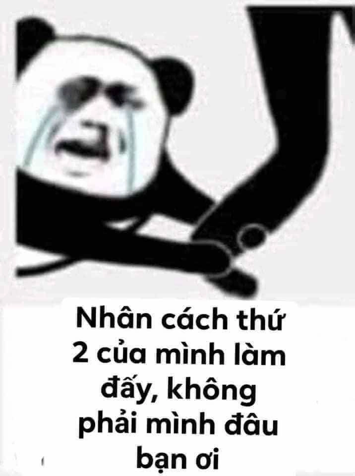 Vui nhộn với meme tình yêu hài hước, thêm thú vị.