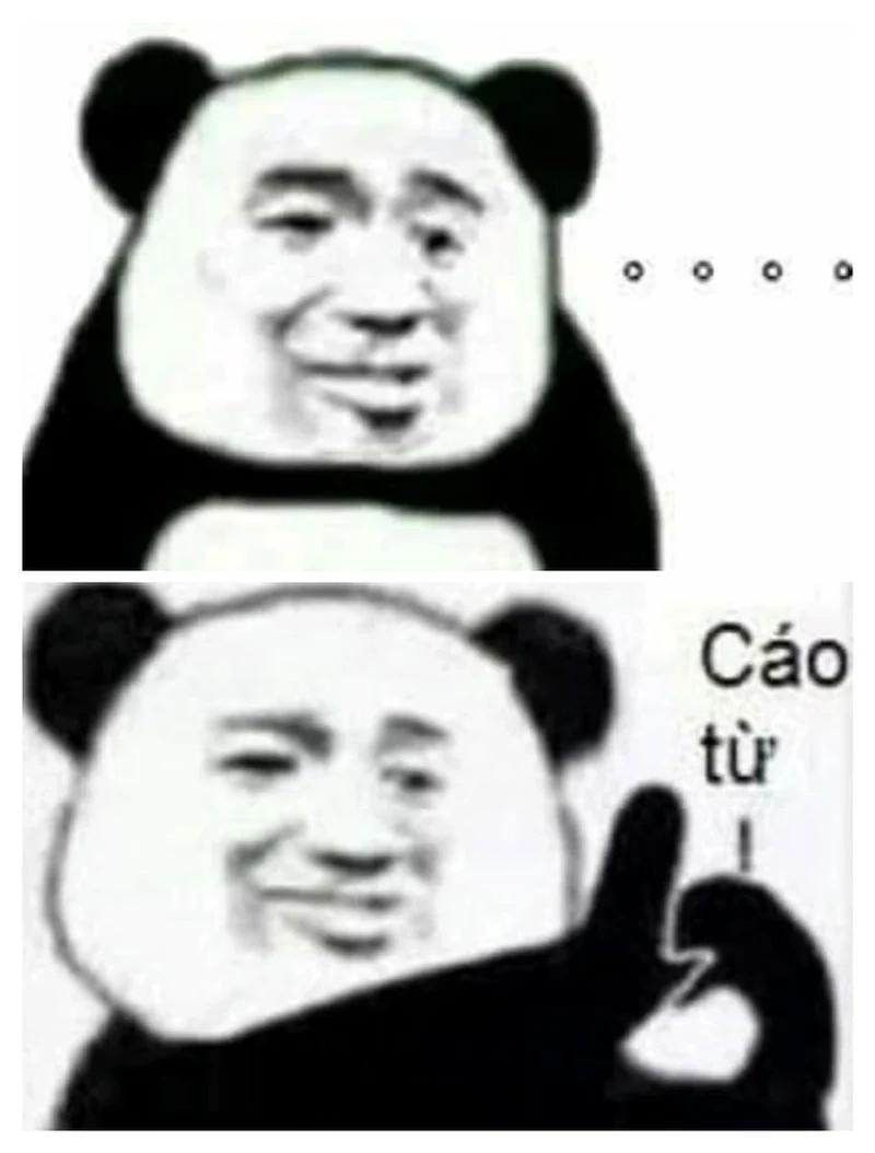 Giải trí bất tận cùng chó meme hài, cực lầy lội.