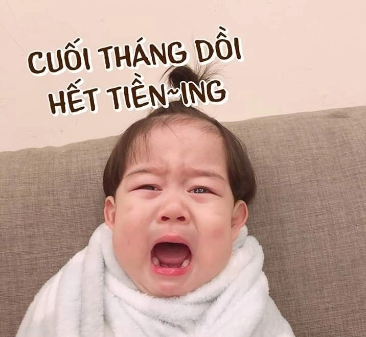 Meme về tiền đem lại những khoảnh khắc vui nhộn và đáng yêu khi nói về tiền.