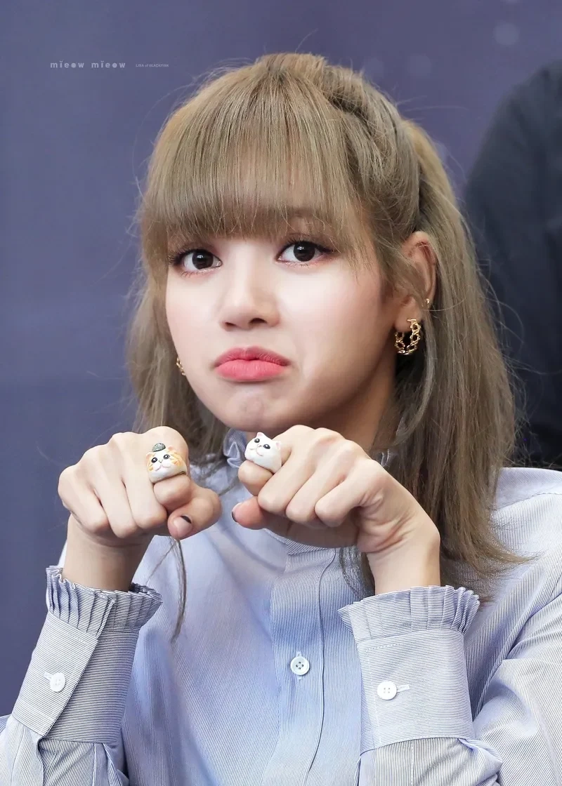 Blackpink meme Lisa sẽ khiến bạn không thể nhịn cười.