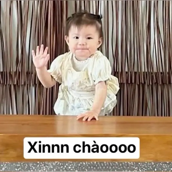 Ảnh meme chào hỏi sẽ làm ngày của bạn thêm phần tươi vui!