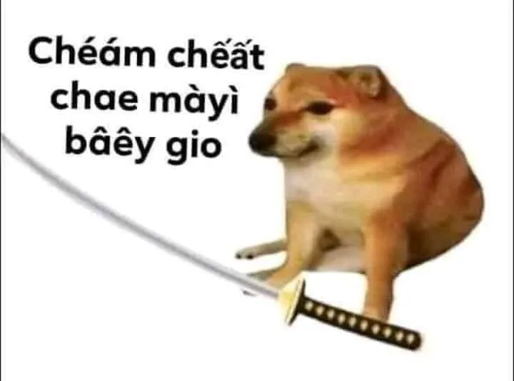 Hình meme cheems làm cho mọi câu chuyện thêm sinh động.