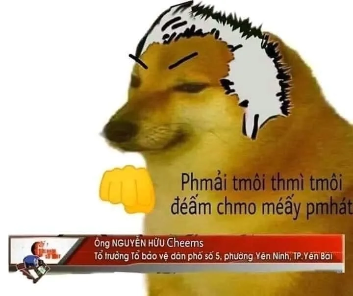 Meme cheems ảnh mèo cầm phóng lợn khiến mọi người phải trầm trồ.