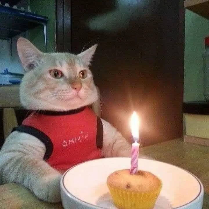 Funny Happy Birthday Meme giúp bạn tạo ra những khoảnh khắc vui nhộn trong ngày sinh nhật.