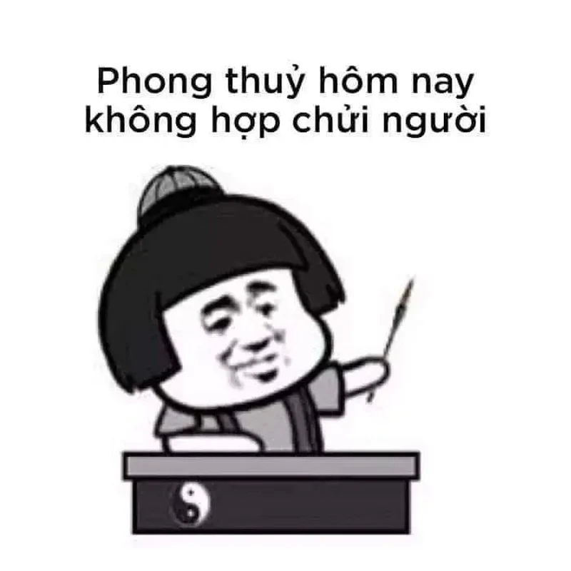 Duolingo chửi meme sẽ làm bạn cười với cách chửi thú vị.