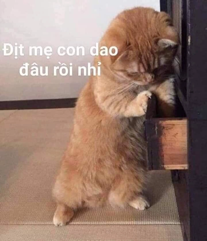 Ca khia meme chửi bậy cực kỳ hài hước và dễ gây cười.