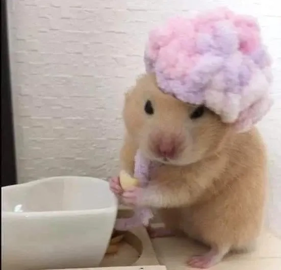 Ảnh con chuột hamster meme siêu dễ thương, ai cũng muốn chia sẻ!