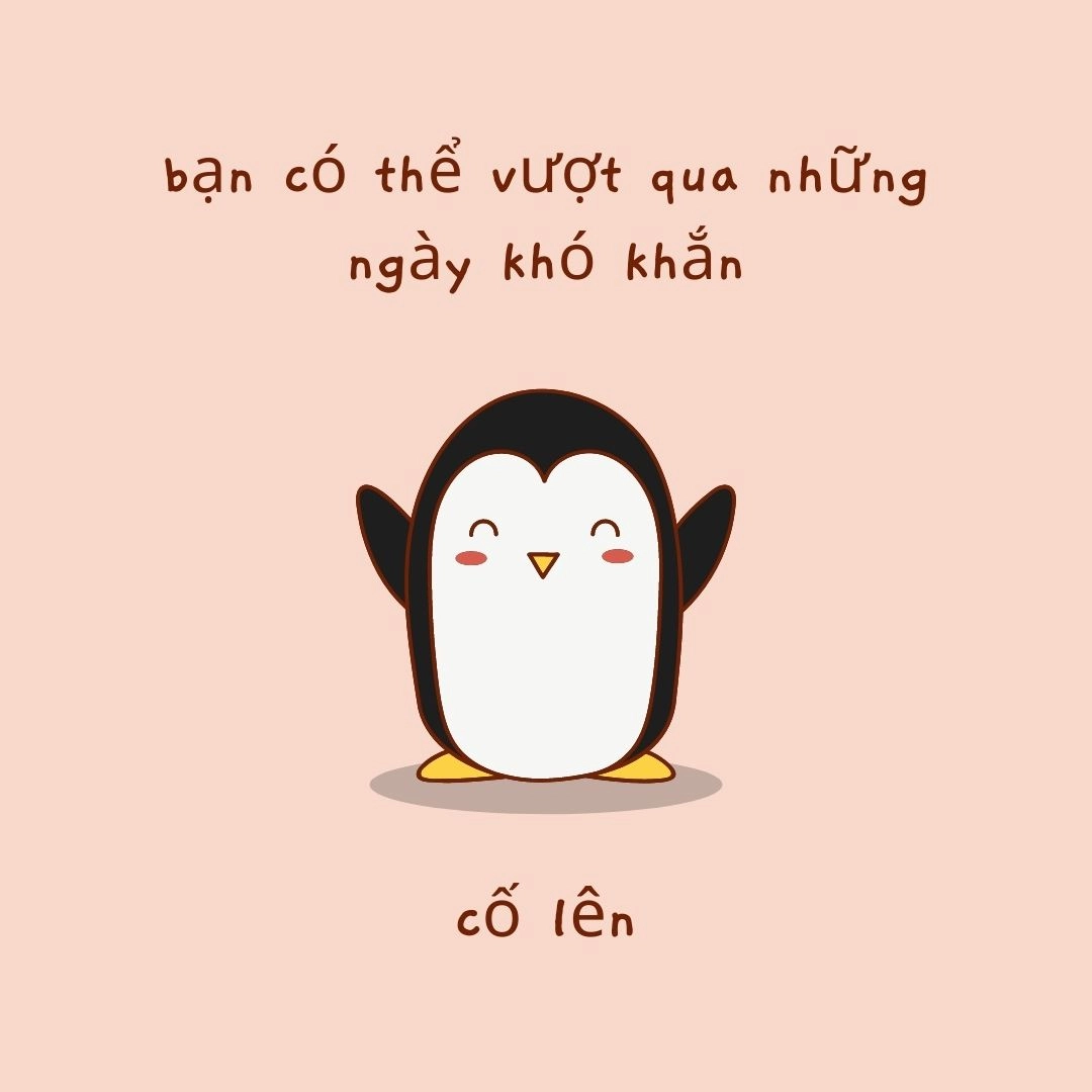 Ảnh cố lên meme là nguồn động lực vô tận cho những ai đang gặp thử thách.