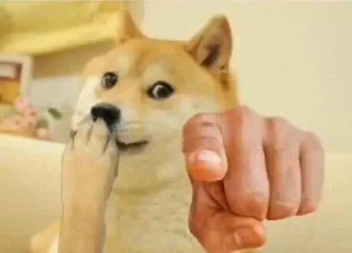 Hài hước cùng chó shiba meme với biểu cảm khó đỡ.