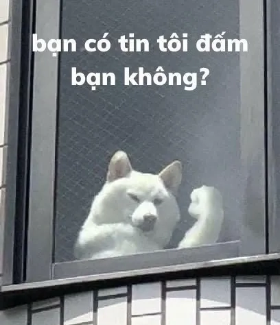 Thưởng thức ảnh con chó meme siêu hài hước.