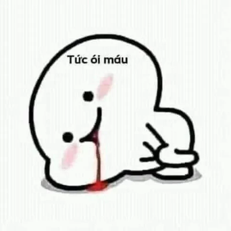 Meme gấu trúc tức giận mang lại tiếng cười với vẻ ngoài cực kỳ đáng yêu.