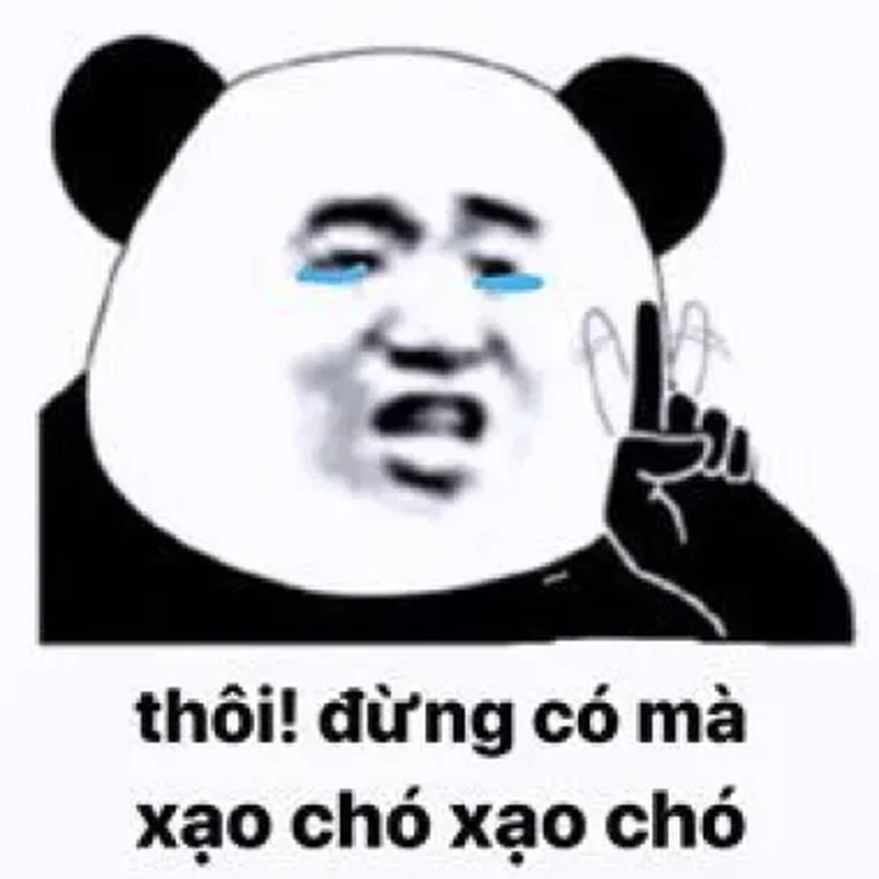 Đôi khi chẳng có gì lớn lao, chỉ đơn giản là meme không có chi nhưng lại khiến bạn phải bật cười.