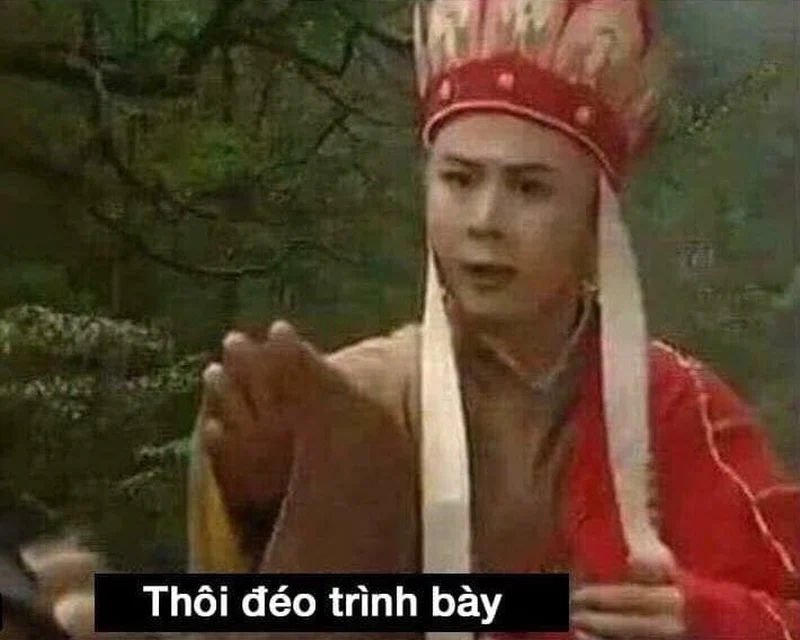 Dù không có lời giải thích, ảnh meme không vẫn dễ dàng khiến người xem phải suy ngẫm.