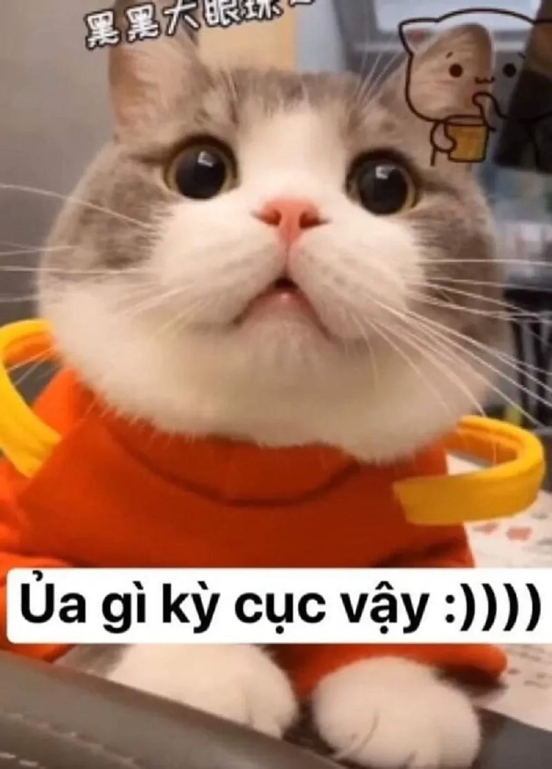 Haha nope meme tạo nên khoảnh khắc hài hước và thú vị.