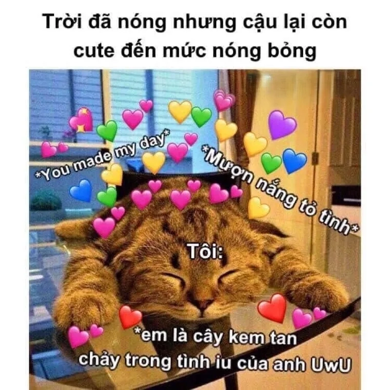 crush meme tỏ tình hài hước mang lại những khoảnh khắc vui vẻ.