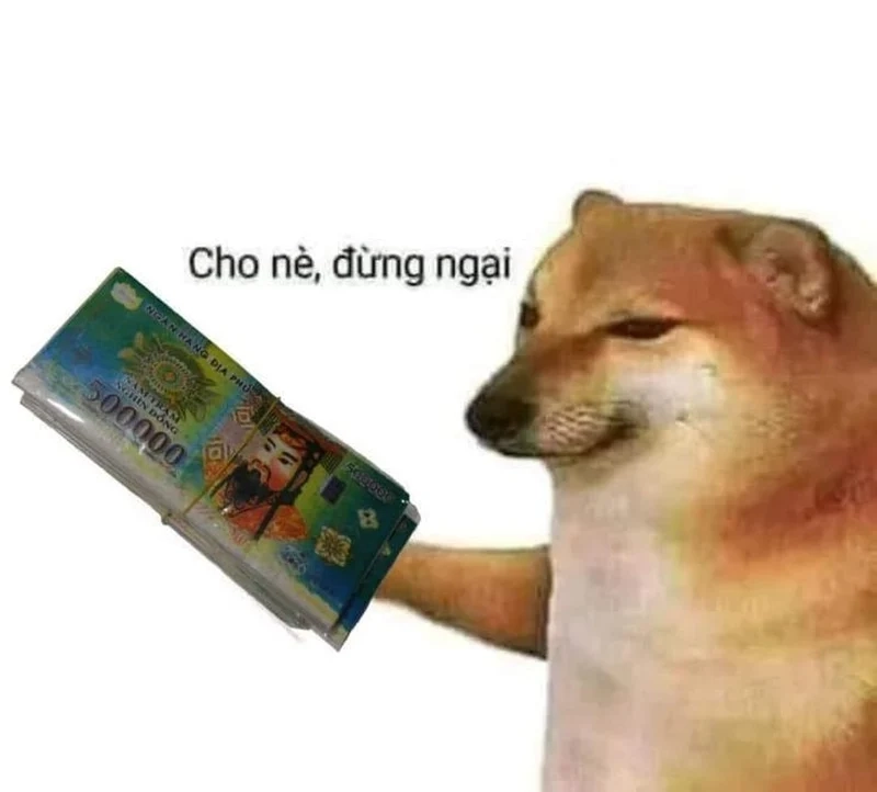 Meme ảnh mèo ngại ngùng là lựa chọn không thể thiếu cho những ai yêu thích sự dễ thương.