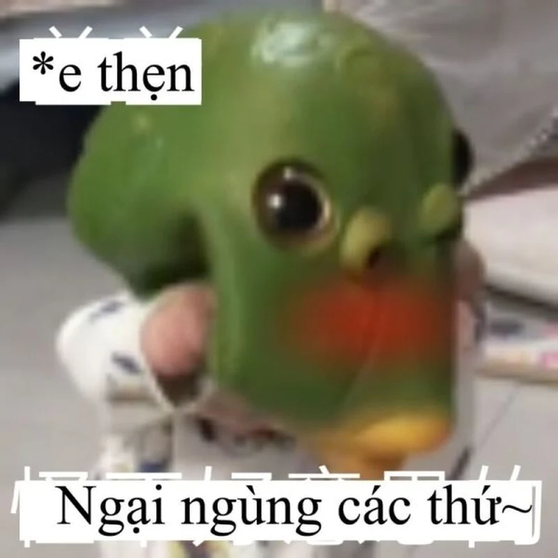 Meme loopy ngại mang đến cho bạn những giây phút thư giãn, dễ chịu.