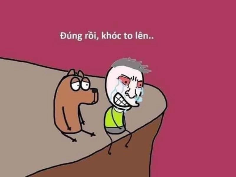 Khi meme mèo ôm nhau, mọi căng thẳng sẽ tan biến và bạn chỉ còn cảm giác dễ chịu.