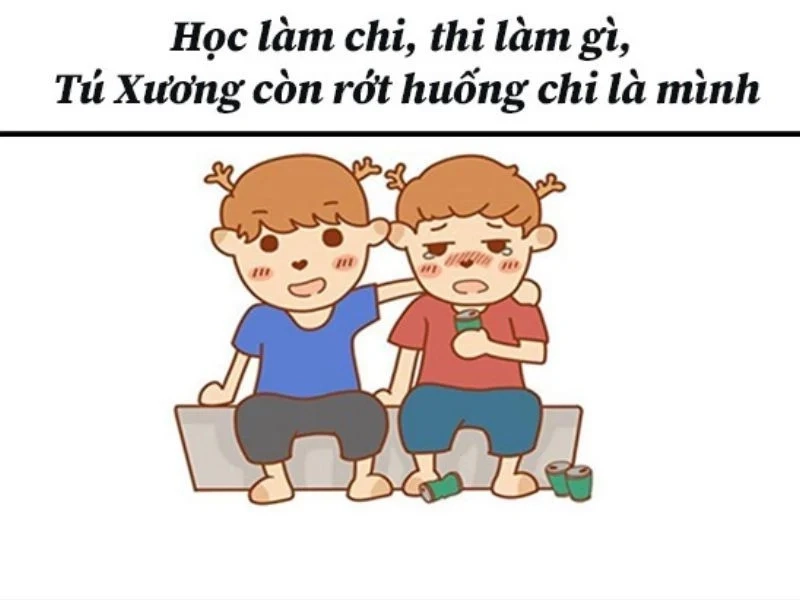 Mèo meme ôm đầu như mang đến một làn sóng yêu thương ấm áp.