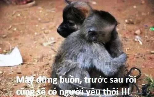 Meme ôm đầu bất ngờ mang lại cảm giác đầy xúc động mà không thể diễn tả.