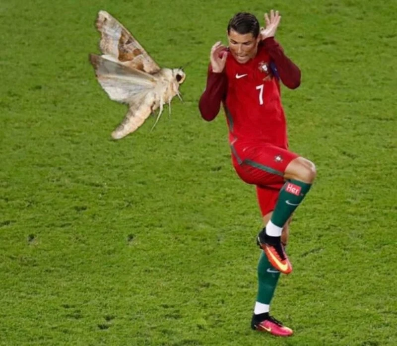 Meme ronaldo siu mang dấu ấn độc quyền từ Ronaldo.