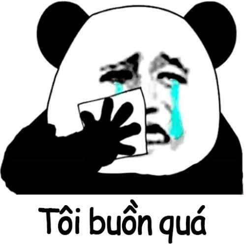 Sad hamster meme khiến bạn không thể nhịn cười dù cảm giác buồn.