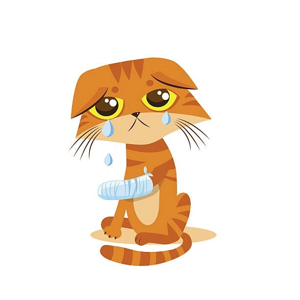 Những sad cat meme với biểu cảm khiến bạn thấy thật đáng yêu và buồn cười!