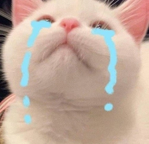 Sad boy meme với vẻ mặt ngậm ngùi chắc chắn sẽ làm bạn thấy đồng cảm.