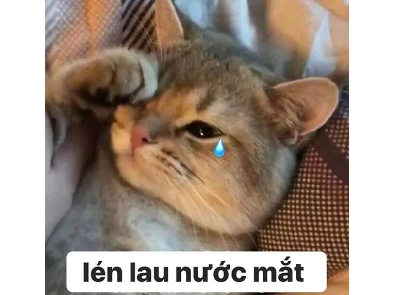 Những ảnh sad boy meme cực kỳ dễ thương, chắc chắn sẽ làm bạn thích mê!