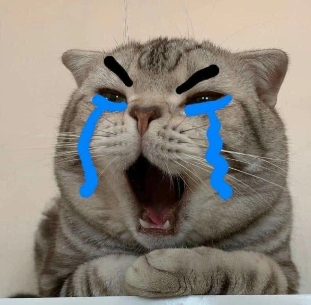 Sad mouse meme sẽ khiến bạn không thể ngừng cười với vẻ dễ thương đầy bất ngờ!