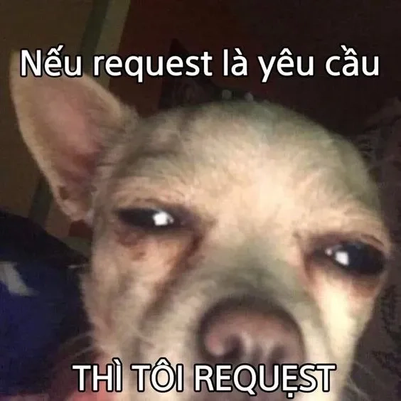 Những cute meme thả thính sẽ làm tan chảy trái tim của người ấy ngay lập tức!