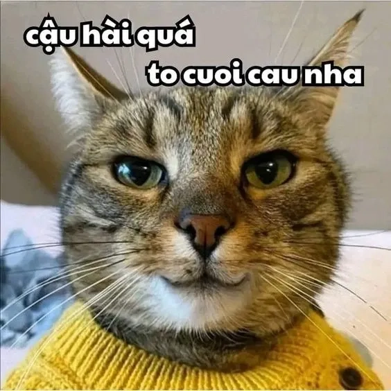 Những khoảnh khắc tềnh crush meme tỏ tình hài hước sẽ làm cho không khí thêm lãng mạn!