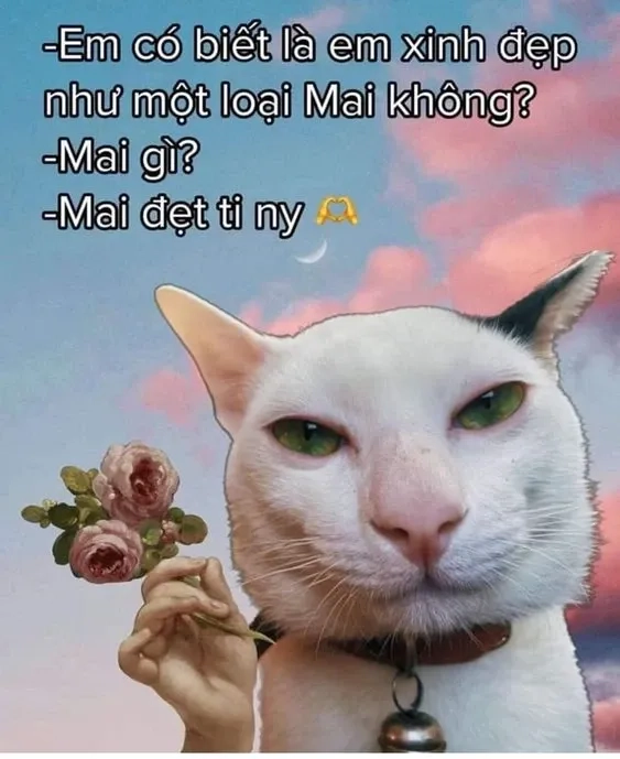 Cùng xem những cute ảnh meme tình yêu để gửi đến người ấy lời chúc ngọt ngào!