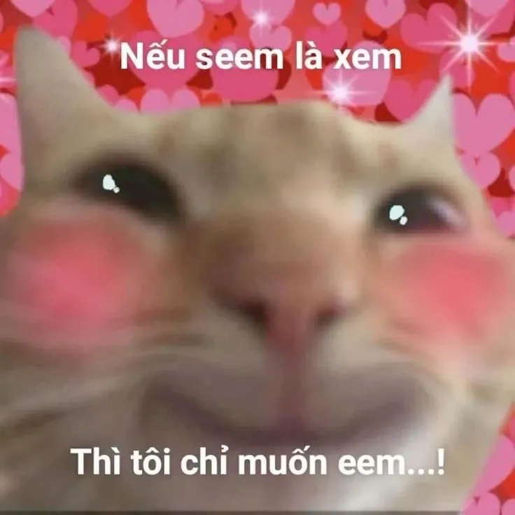 Cute meme tình yêu đầy sự ngọt ngào, giúp bạn thể hiện tình cảm với những cử chỉ dễ thương!