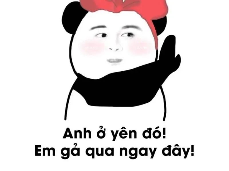 Meme tình yêu hài mang đến những giây phút giải trí vui nhộn và đáng yêu bên người thương!