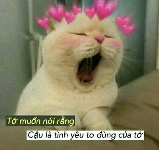 Đừng bỏ qua những meme trêu người yêu vừa hài hước vừa ngọt ngào, tạo sự gần gũi!