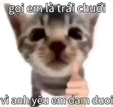 Meme tình yêu to lớn sẽ giúp bạn thể hiện sự yêu thương mạnh mẽ và sâu sắc!