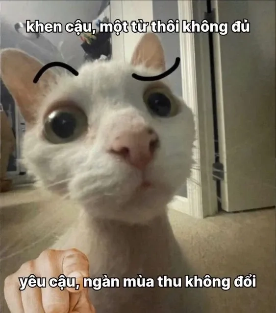 Ngồi im tình yêu sẽ đến meme mang đến sự bình yên và hy vọng trong tình yêu!